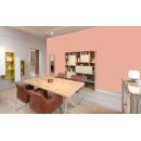 Auro Wandfarbe 555 - Colours for life - smoke orange 15