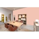 Auro Wandfarbe 555 - Colours for life - smoke orange 20