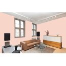 Auro Wandfarbe 555 - Colours for life - smoke orange 25