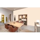 Auro Wandfarbe 555 - Colours for life - soft peach