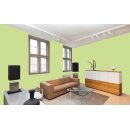 Auro Wandfarbe 555 - Colours for life - spring green 15