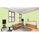 Auro Wandfarbe 555 - Colours for life - spring green 20