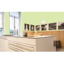 Auro Wandfarbe 555 - Colours for life - spring green 20