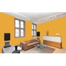 Auro Wandfarbe 555 - Colours for life - sundown