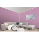Auro Wandfarbe 555 - Colours for life - velvet touch