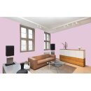Auro Wandfarbe 555 - Colours for life - velvet touch 10