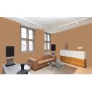 Auro Wandfarbe 555 - Colours for life - walnut tree 05