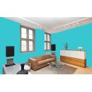 Auro Wandfarbe 555 - Colours for life - wave