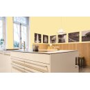 Auro Wandfarbe 555 - Colours for life - wild mustard 20