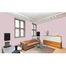 Auro Wandfarbe 555 - Colours for life - wood berry 20