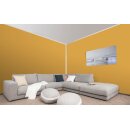 Auro Wandfarbe 555 - Colours for life - yellow gold