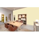 Auro Wandfarbe 555 - Colours for life - yellow kelp 25