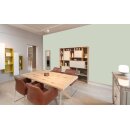 Auro Wandfarbe 555 - Colours for life - zucchini 20