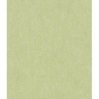 Ziro Linoleumboden Linoplus Primavera 93 x 46 cm - 10 mm - 1,712 qm - Klick