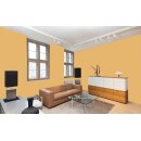 Auro Profi-Lehmfarbe 535 - Colours for life - 10.7 maize