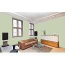 Auro Profi-Lehmfarbe 535 - Colours for life - 119 ice green