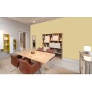 Auro Profi-Lehmfarbe 535 - Colours for life - 244 honey melon