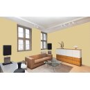 Auro Profi-Lehmfarbe 535 - Colours for life - 244 honey melon