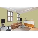 Auro Profi-Lehmfarbe 535 - Colours for life - 246 green apple