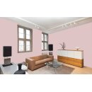 Auro Profi-Lehmfarbe 535 - Colours for life - 30.1 cupcake
