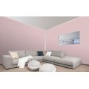 Auro Profi-Lehmfarbe 535 - Colours for life - 30.1 cupcake