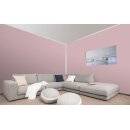 Auro Profi-Lehmfarbe 535 - Colours for life - 30.2 misty rose