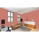 Auro Profi-Lehmfarbe 535 - Colours for life - 32.4 pottery red