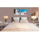 Auro Profi-Lehmfarbe 535 - Colours for life - 459 urban brown