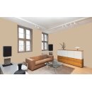 Auro Profi-Lehmfarbe 535 - Colours for life - 5010 cacao cream