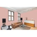 Auro Profi-Lehmfarbe 535 - Colours for life - 583 light pink