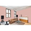Auro Profi-Lehmfarbe 535 - Colours for life - 585 piggy