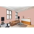 Auro Profi-Lehmfarbe 535 - Colours for life - 589 romantic rose