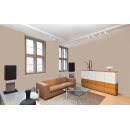 Auro Profi-Lehmfarbe 535 - Colours for life - 591 coffee cream