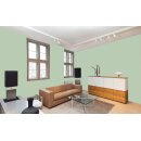 Auro Profi-Lehmfarbe 535 - Colours for life - 60.3 pistacchio