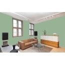 Auro Profi-Lehmfarbe 535 - Colours for life - 60.5 paradise green