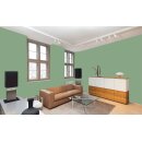 Auro Profi-Lehmfarbe 535 - Colours for life - 60.6 verde opale