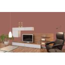 Auro Profi-Lehmfarbe 535 - Colours for life - 707 havana