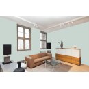 Auro Profi-Lehmfarbe 535 - Colours for life - 763 spearmint