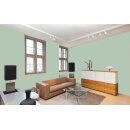 Auro Profi-Lehmfarbe 535 - Colours for life - 765 green tea