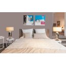 Auro Profi-Lehmfarbe 535 - Colours for life - 81.5 cashmere