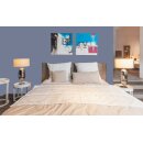 Auro Profi-Lehmfarbe 535 - Colours for life - 880 smoke blue