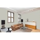 Auro Profi-Lehmfarbe 535 - Colours for life - 913 oyster