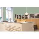 Auro Profi-Lehmfarbe 535 - Colours for life - 967 eucalyptus