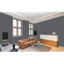 Auro Profi-Lehmfarbe 535 - Colours for life - 99.7 coal
