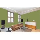 Auro Profi-Lehmfarbe 535 - Colours for life - apple green