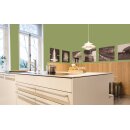 Auro Profi-Lehmfarbe 535 - Colours for life - apple green 05