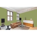 Auro Profi-Lehmfarbe 535 - Colours for life - apple green 05