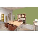 Auro Profi-Lehmfarbe 535 - Colours for life - apple green 05