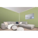 Auro Profi-Lehmfarbe 535 - Colours for life - apple green 10