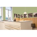 Auro Profi-Lehmfarbe 535 - Colours for life - apple green 10